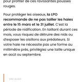 Directoire cherry wood bookcase