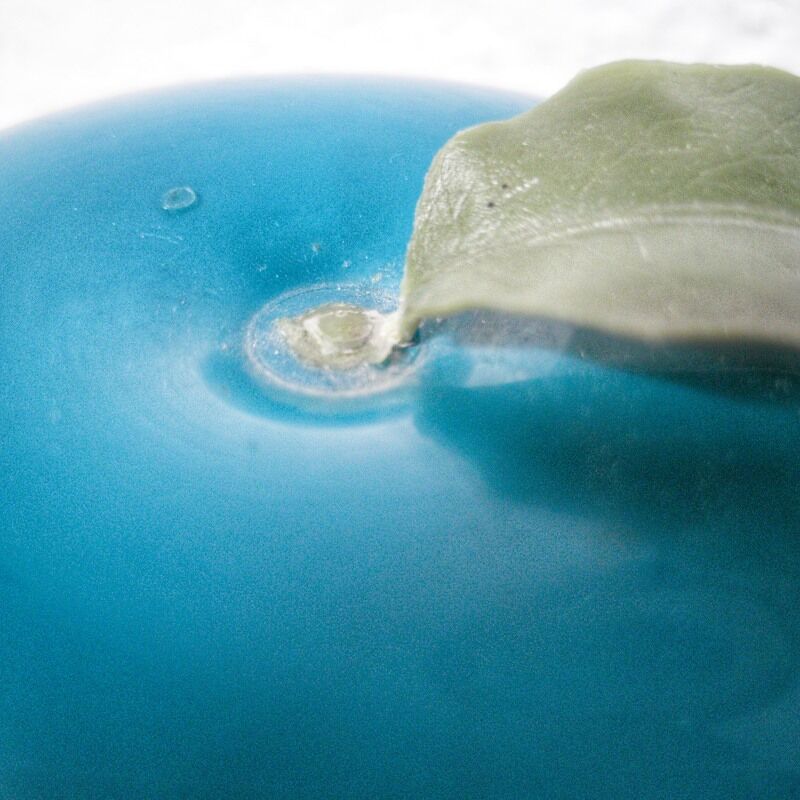 Vintage ice cube apple