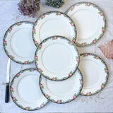 7 opaque porcelain dinner plates Digoin floral pattern 3984