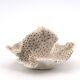 Vintage natural white coral, curiosity cabinet, 1970s