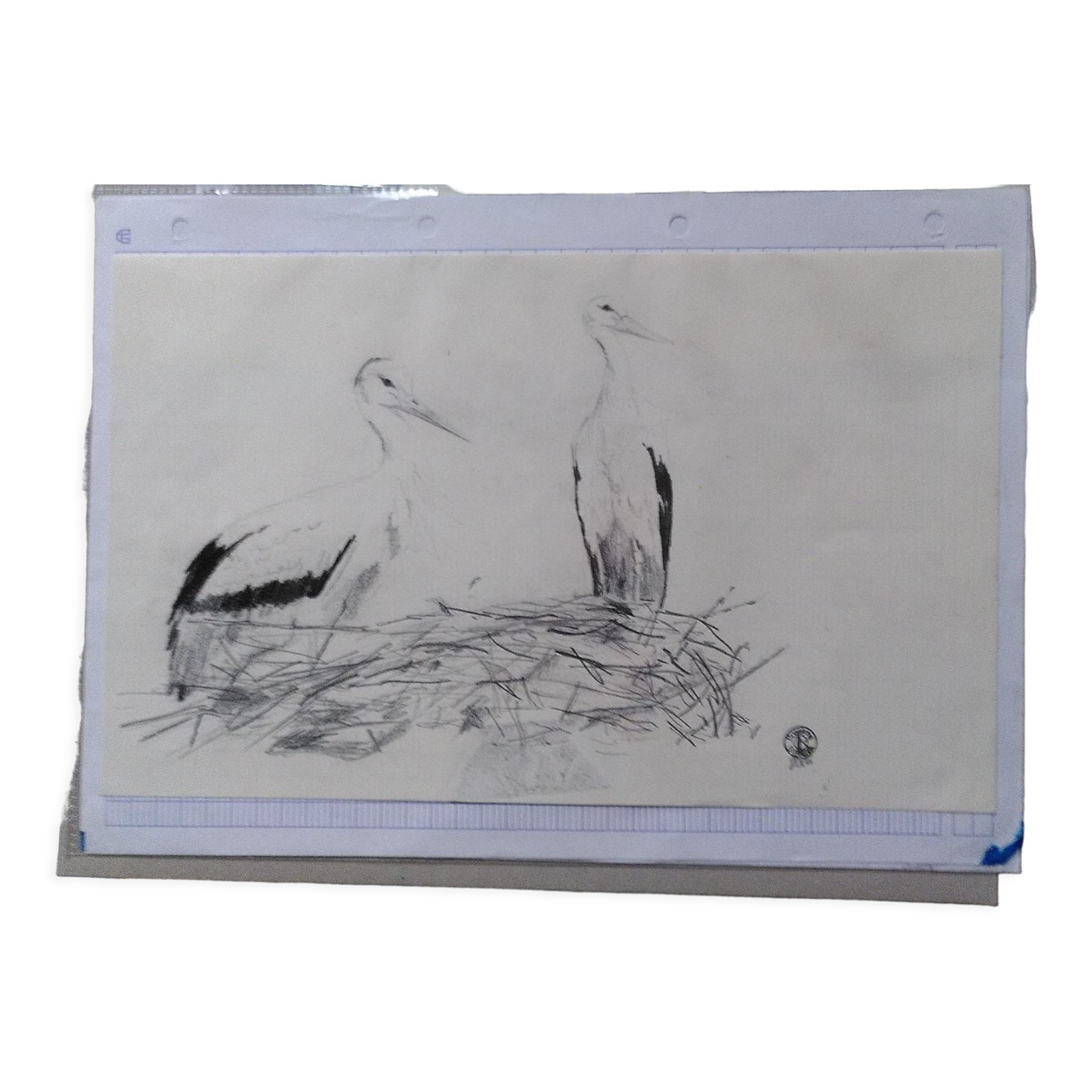 2 cigognes