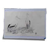 2 storks