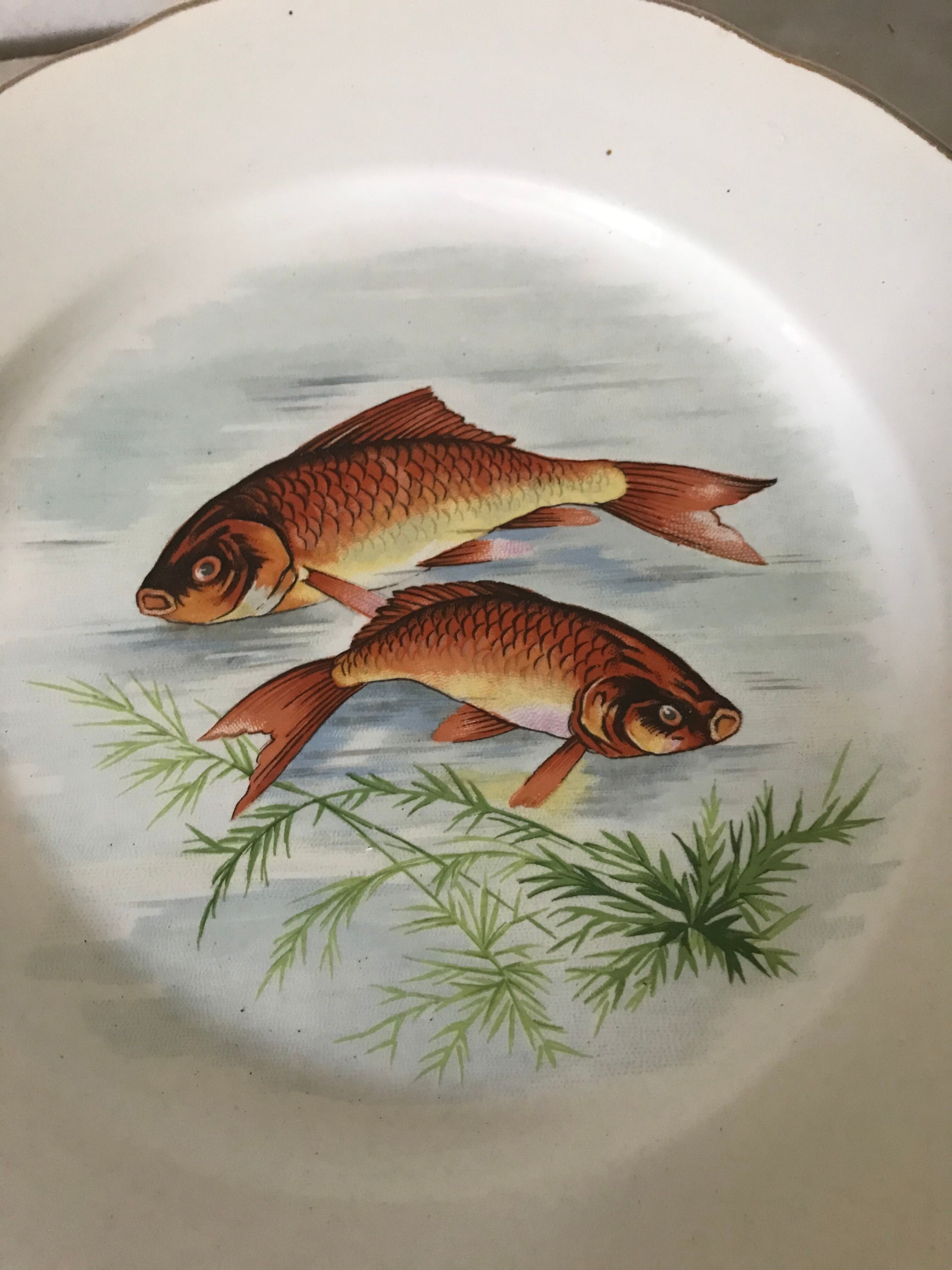 12 Digoin plates - Sarreguemines