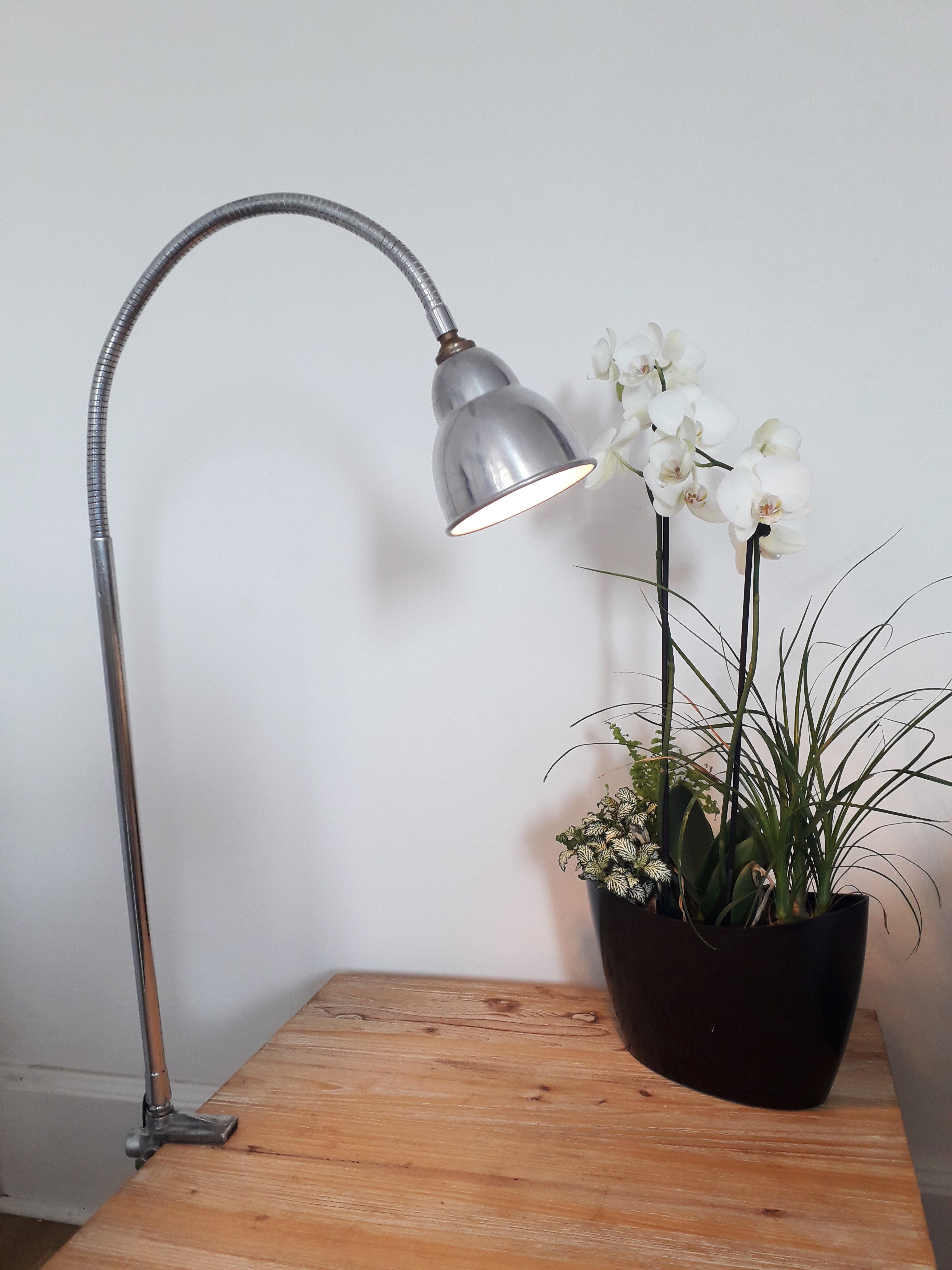 Workshop / industrial lamp - Orientable - Brushed metal - 50s