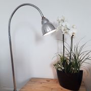 Workshop / industrial lamp - Orientable - Brushed metal - 50s