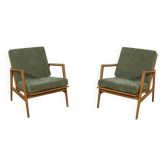 Fauteuils en chêne modèle 300-139 du milieu du siècle de l'usine Swarzędzka, années 1960.