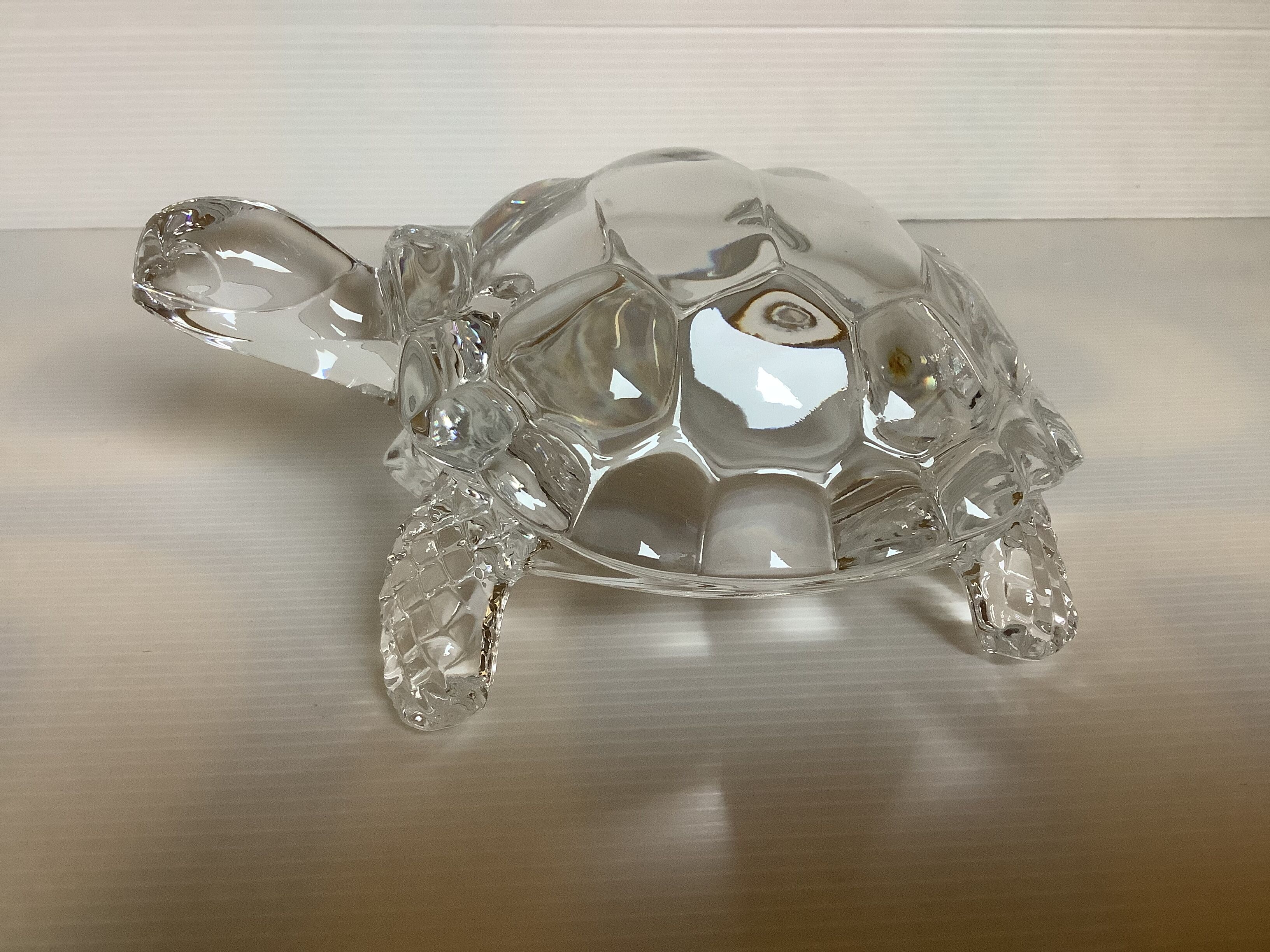 Arques crystal turtle