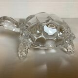 Arques crystal turtle