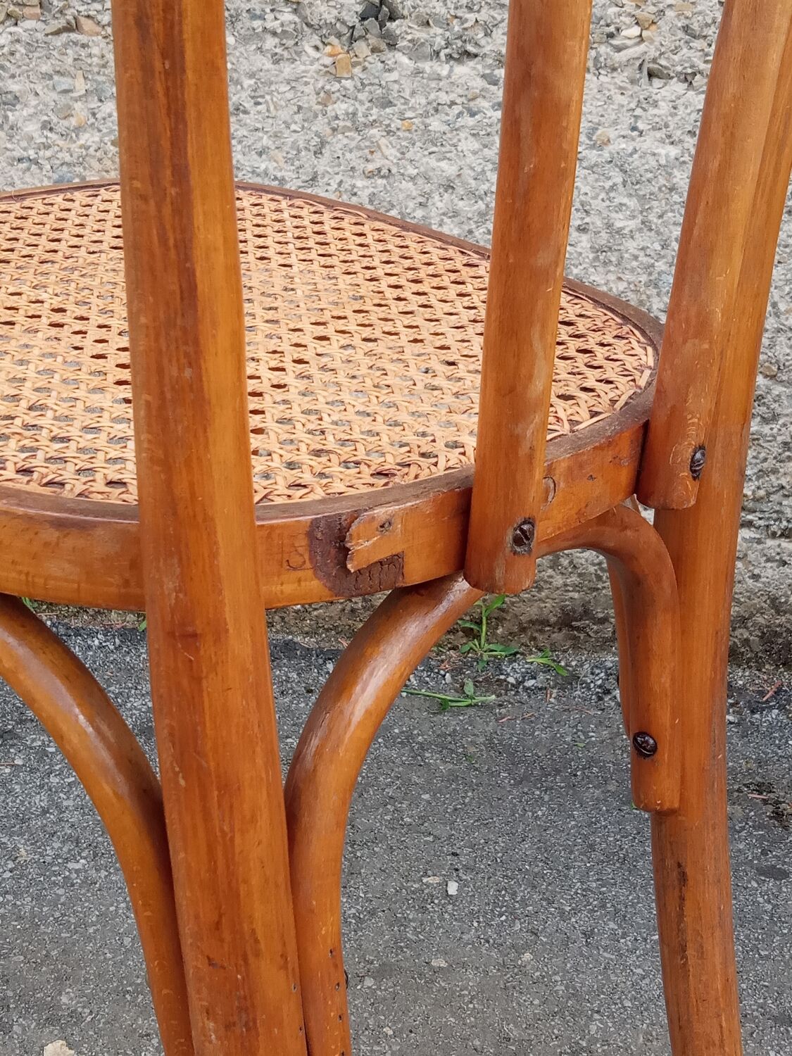 Pair of caned Fischel chairs, circa 1900