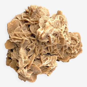 Sand Rose - Minerals - 9 x 7 cm - 180 gr. - very good state