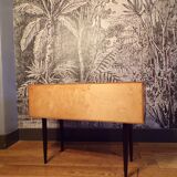 Mini teak sideboard with one door and two drawers