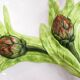 Dish dabbling artichokes