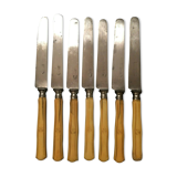 Set of 7 steel blade knives