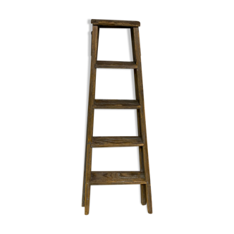 Workshop stepladder