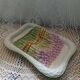 Large antique Barbotine/asparagus platter