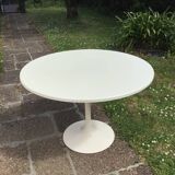 Tulip table
