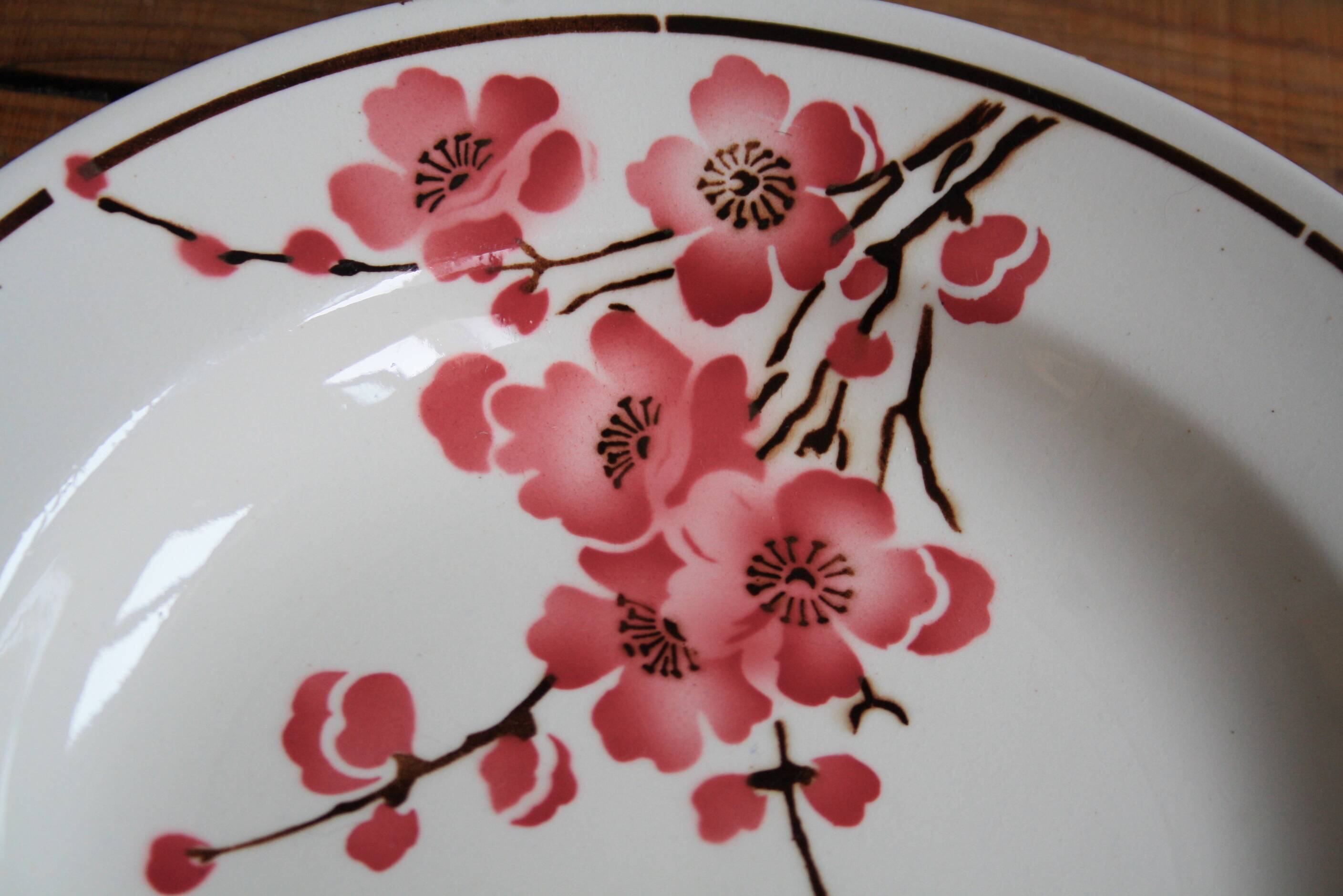 Set of 6 Terre de Fer St Amand "cherry" deep plates