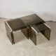 Nesting tables smoked glass by Gallotti & Radice