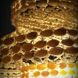 Shell chandelier Cabrias 60s
