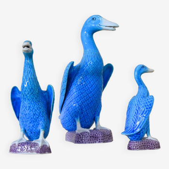 Ensemble de trois canards turquoise du milieu du siècle, en porcelaine chinoise des années 50