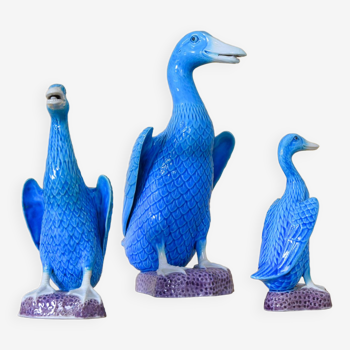 Set of three Mid Century Turquoise Ducks, made of Chinese Porcelain from the 50s