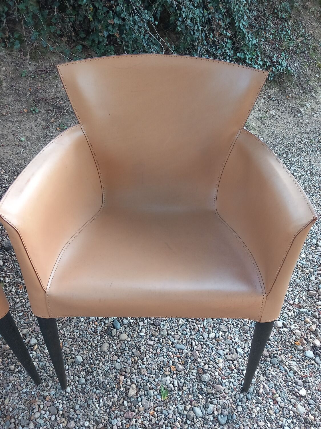 Set of 4 Vela chairs by Carlo Bartoli for Matteo Grassi