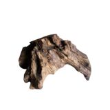 Sculptural wooden centrepiece, organic bowl, brutalist.