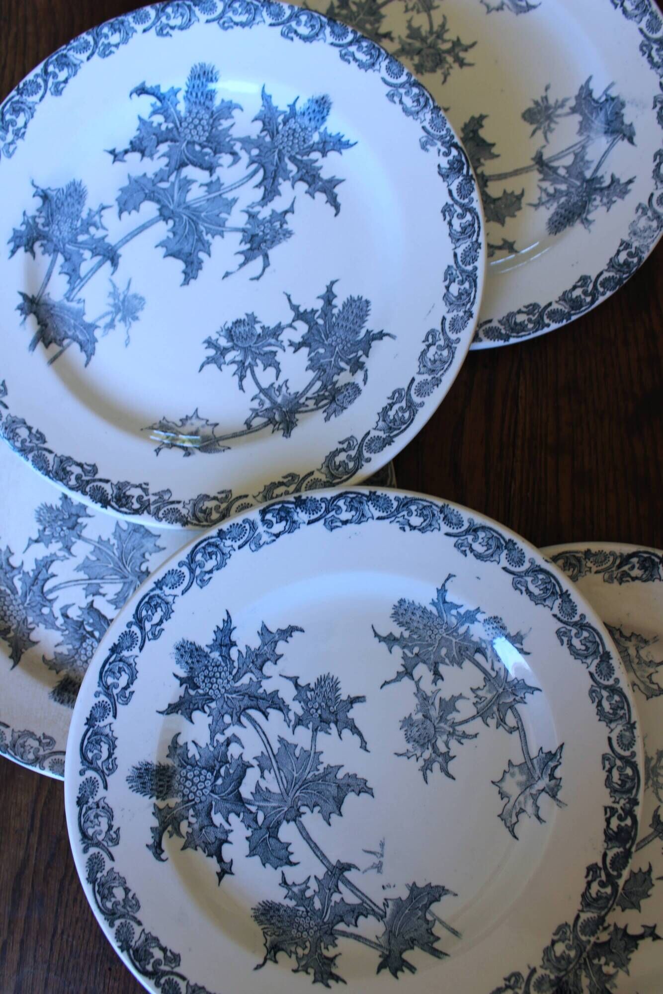 A set of 5 flat plates Chardon Bleu Terre de Fer Clairefontaine Righi