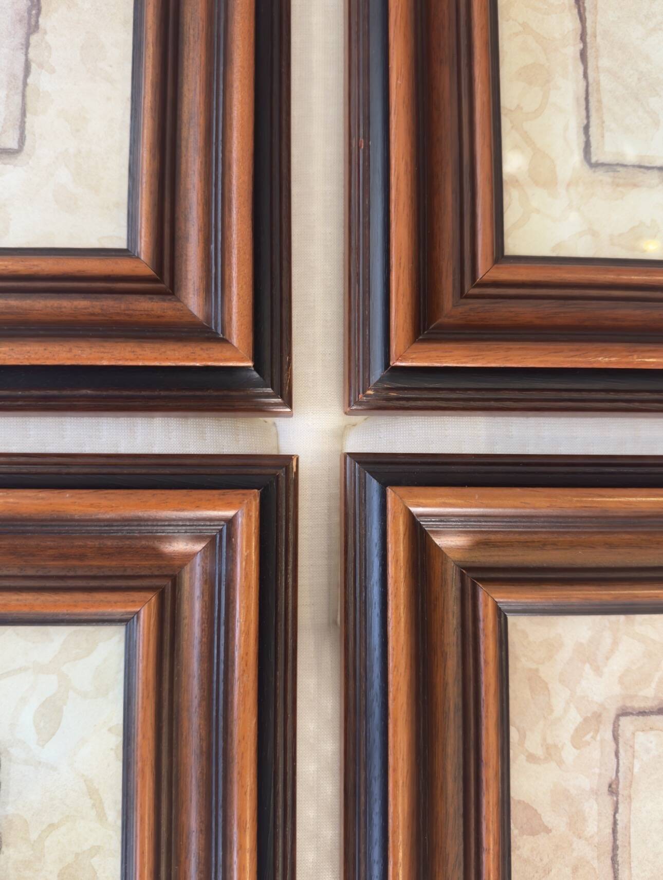 Framed naturalistic illustration of a butterfly, 36 x 36 cm.