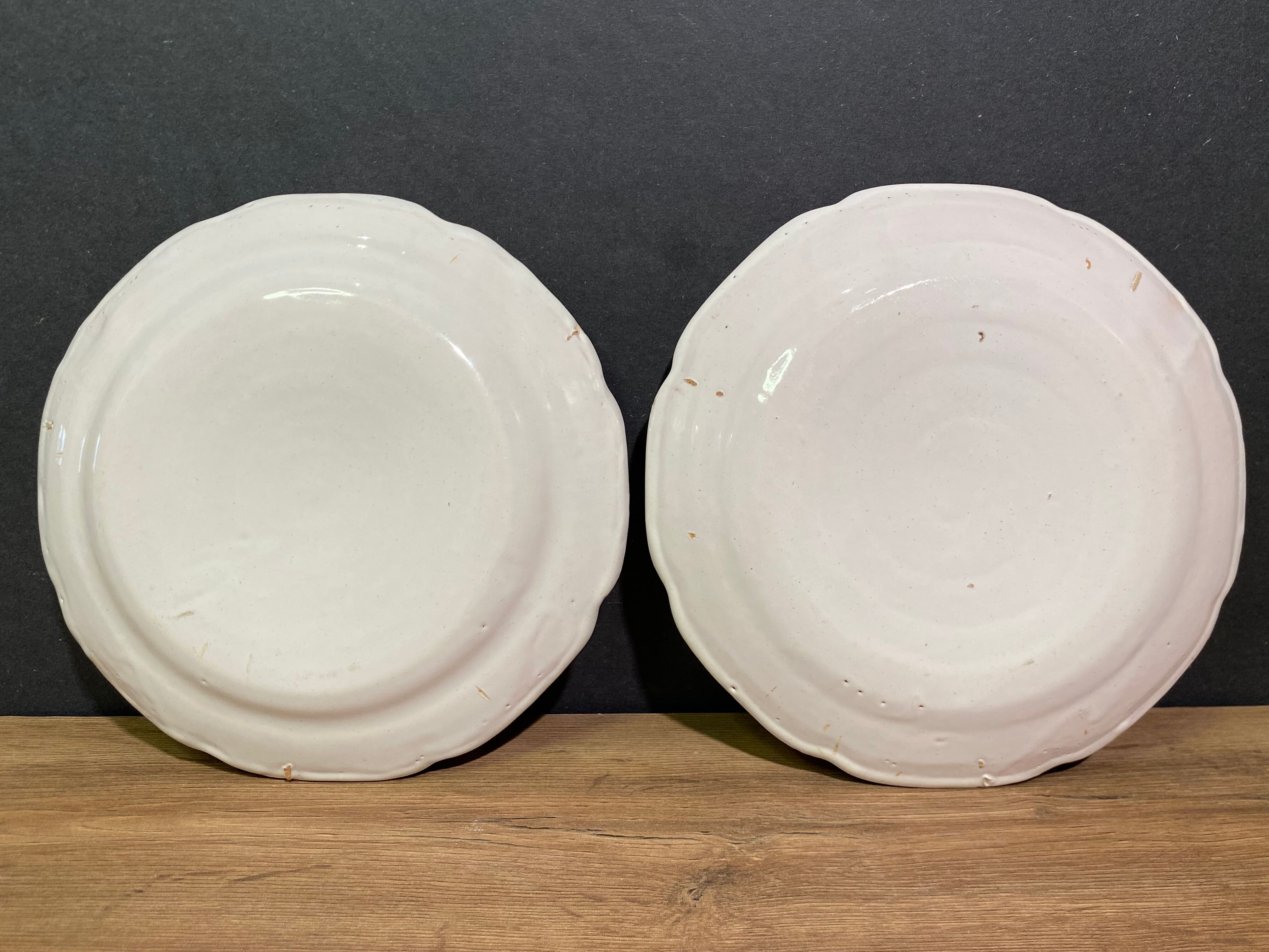 Pair of earthenware plates from the East nineteenth with floral decoration