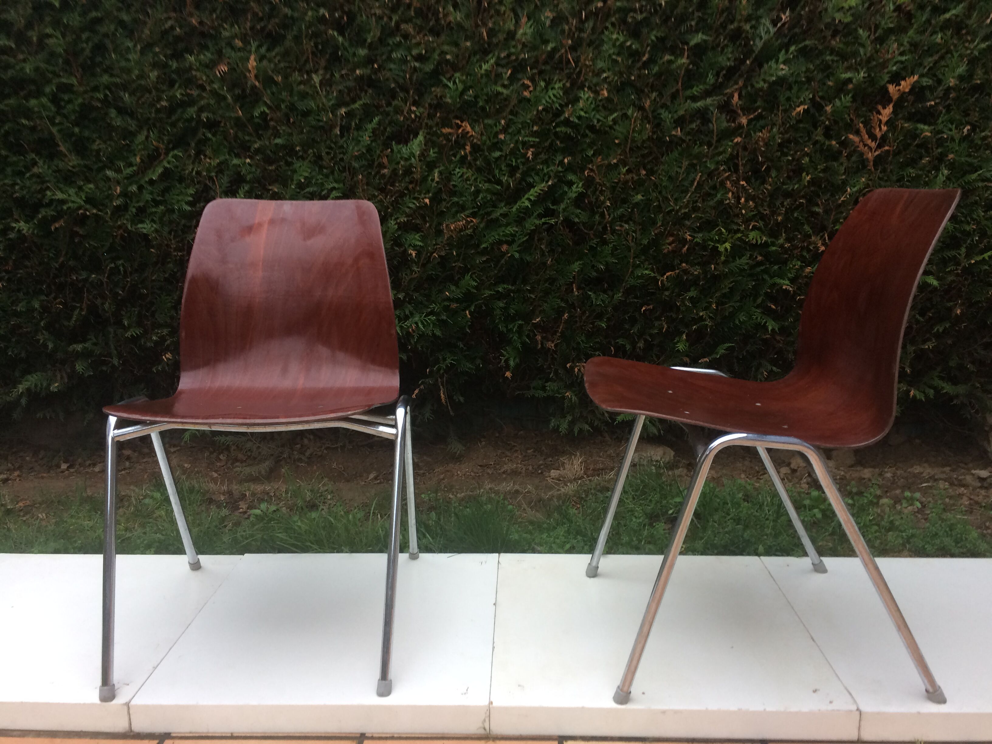Pair of Pagholz chairs