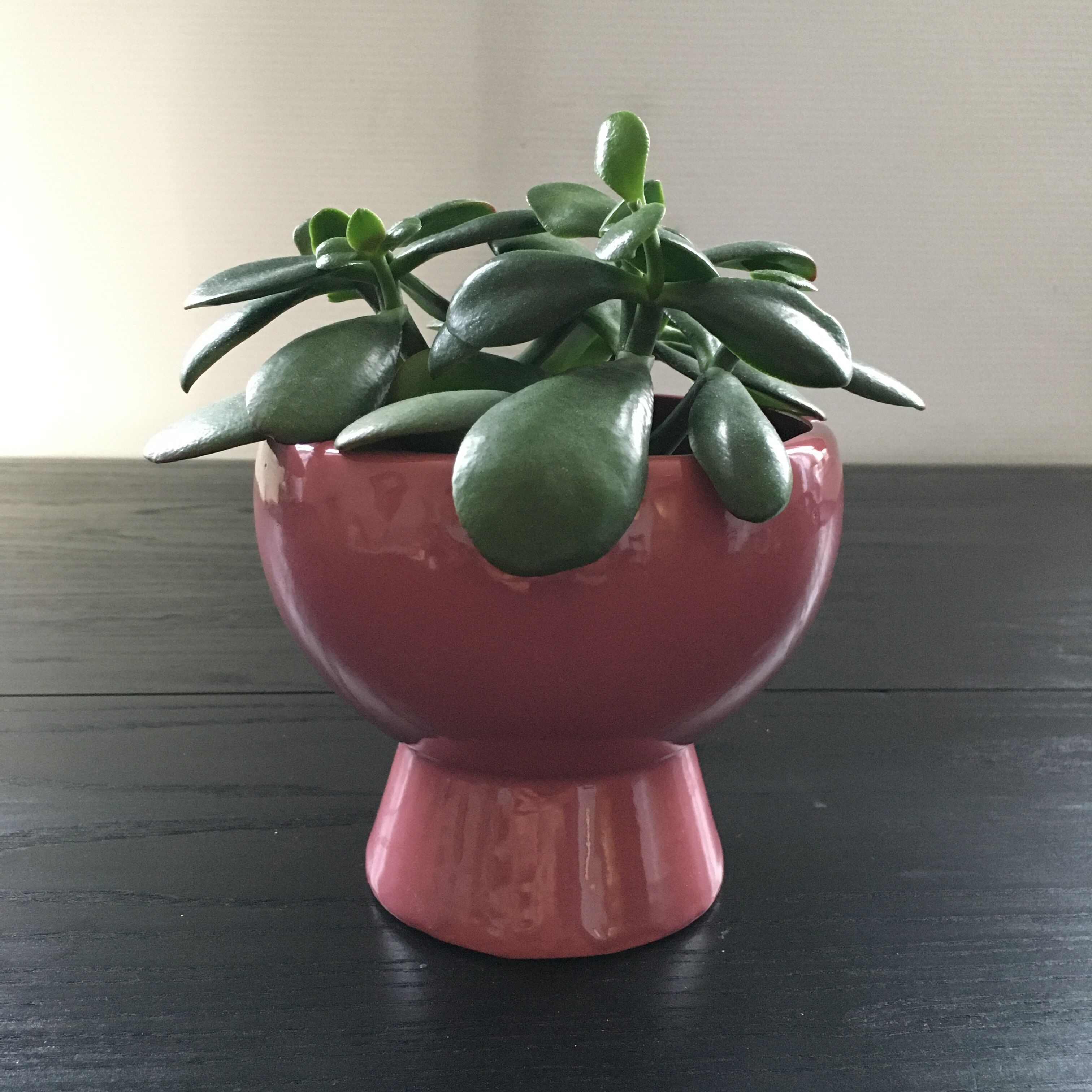 Pink Scandinavian pot cache