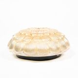 Pair of smoked glass ceiling lights