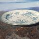 oval Badonvillier iris dish