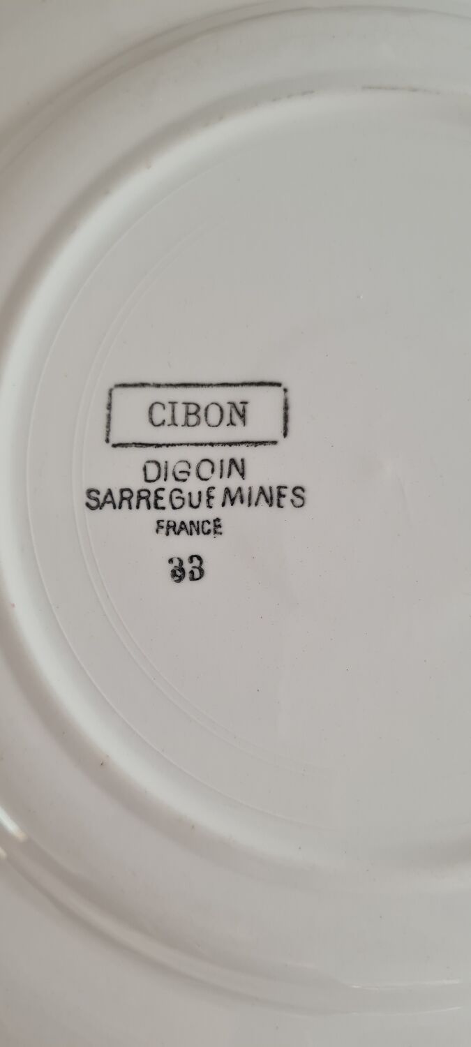 Service of 10 plates in Digoin earthenware