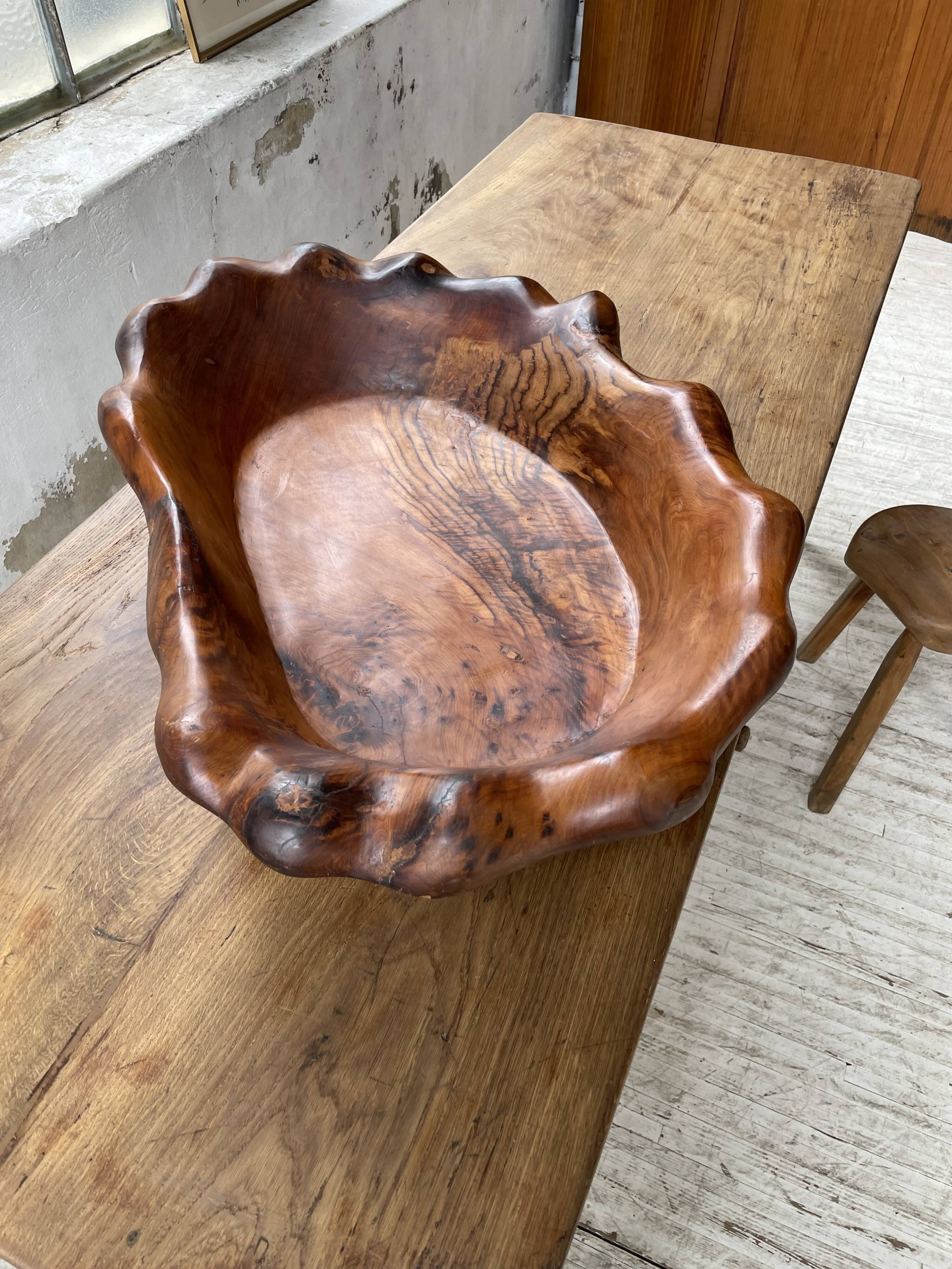 XL thuja root wooden dish