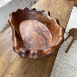 Plat en bois XL racine de thuya