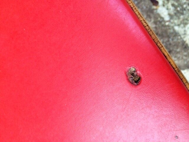 Pair of chairs Bistro Baumann