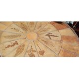 Herbarium round table Roger Capron