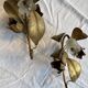 Pair of golden flower wall lights - 20th century