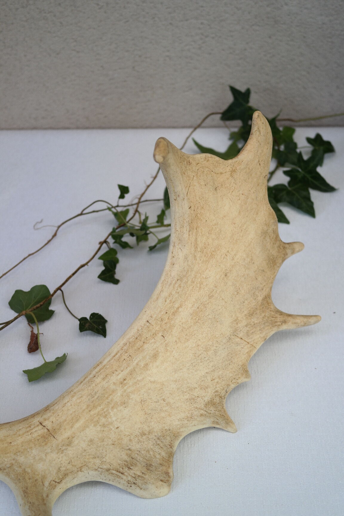 Pair of suede wood europe