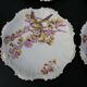 6 Limoges porcelain dessert plates 1900 - Bird decor