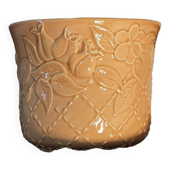 Apricot plant pot