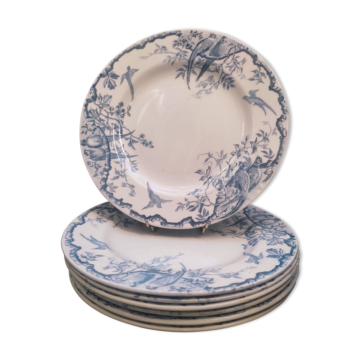7 plates in earthenware with bird motifs by Lunéville