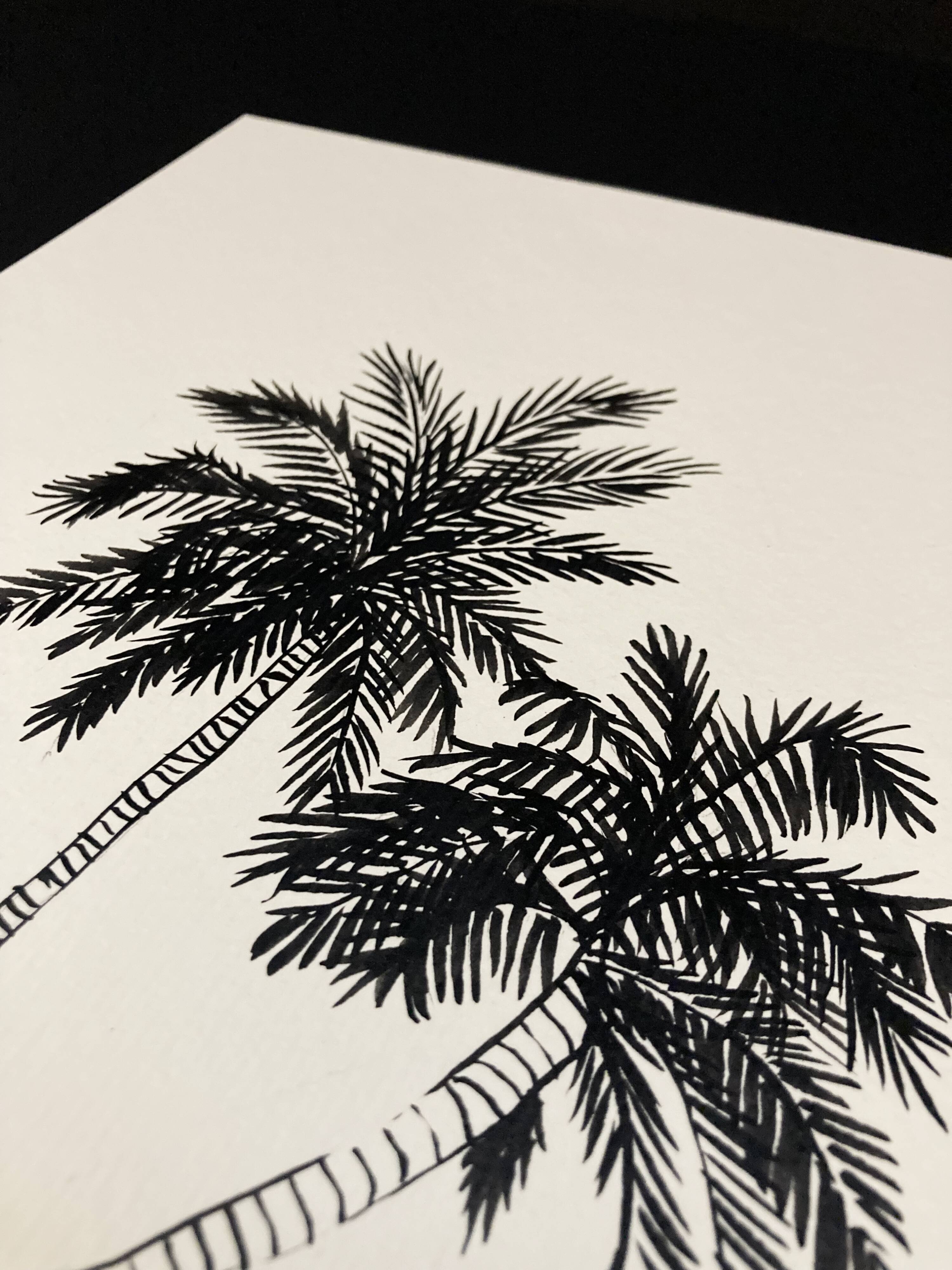 Jungle 03