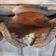 Massacre trophy ram mouflon pedestal wood