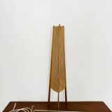 Sisal and Teak Floor Lamp by Temde