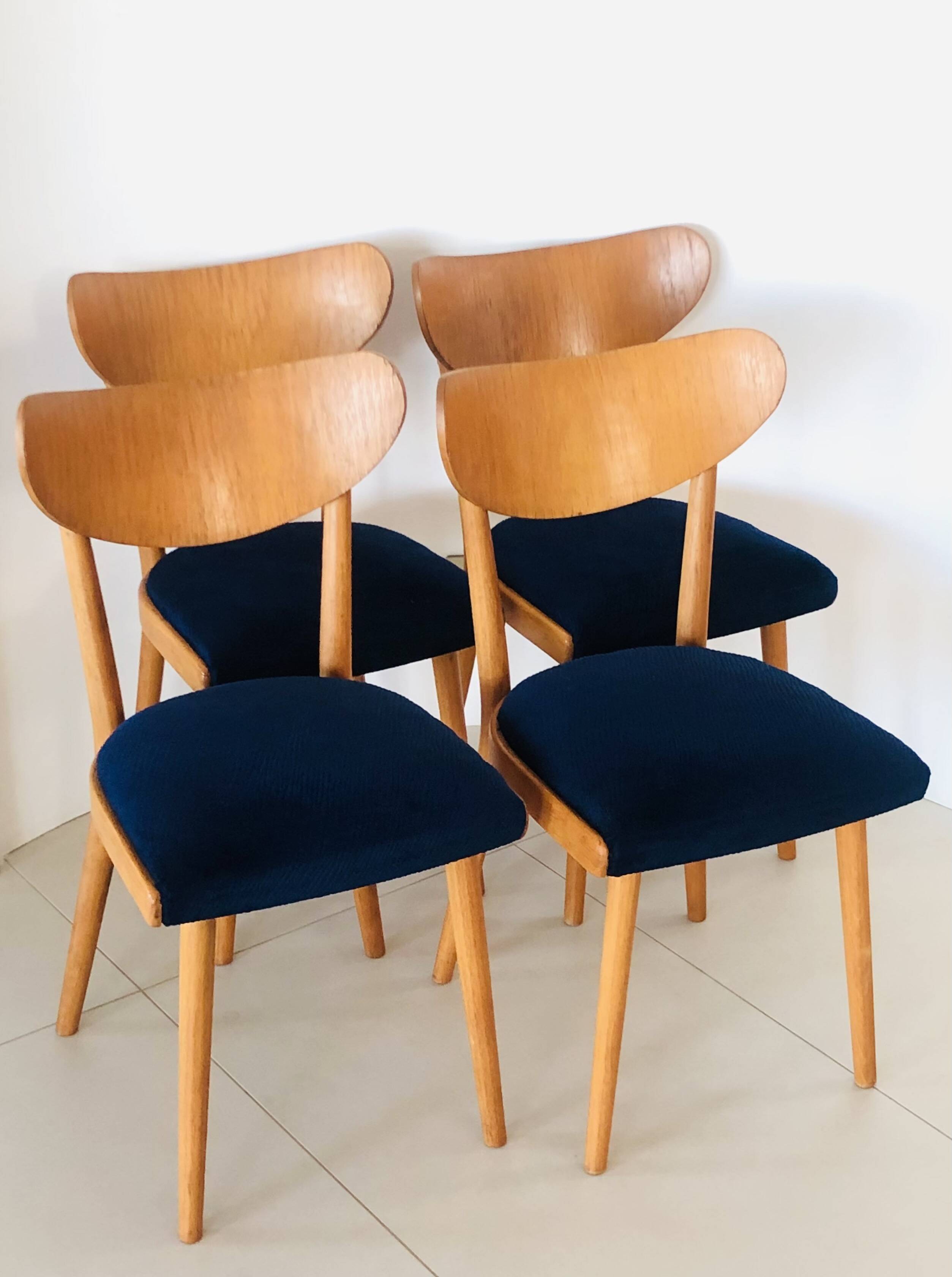 Chaises en bois de hêtre, Tchécoslovaquie années 50