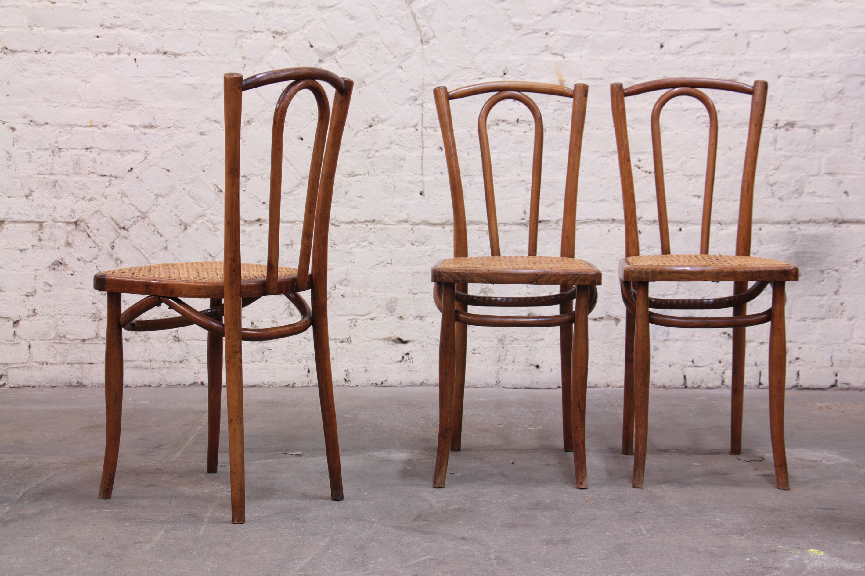 Bistrot chair in curved wood and caning