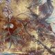 A.Bouverat Lacquered panel of Chinese inspiration hand painted 20th century